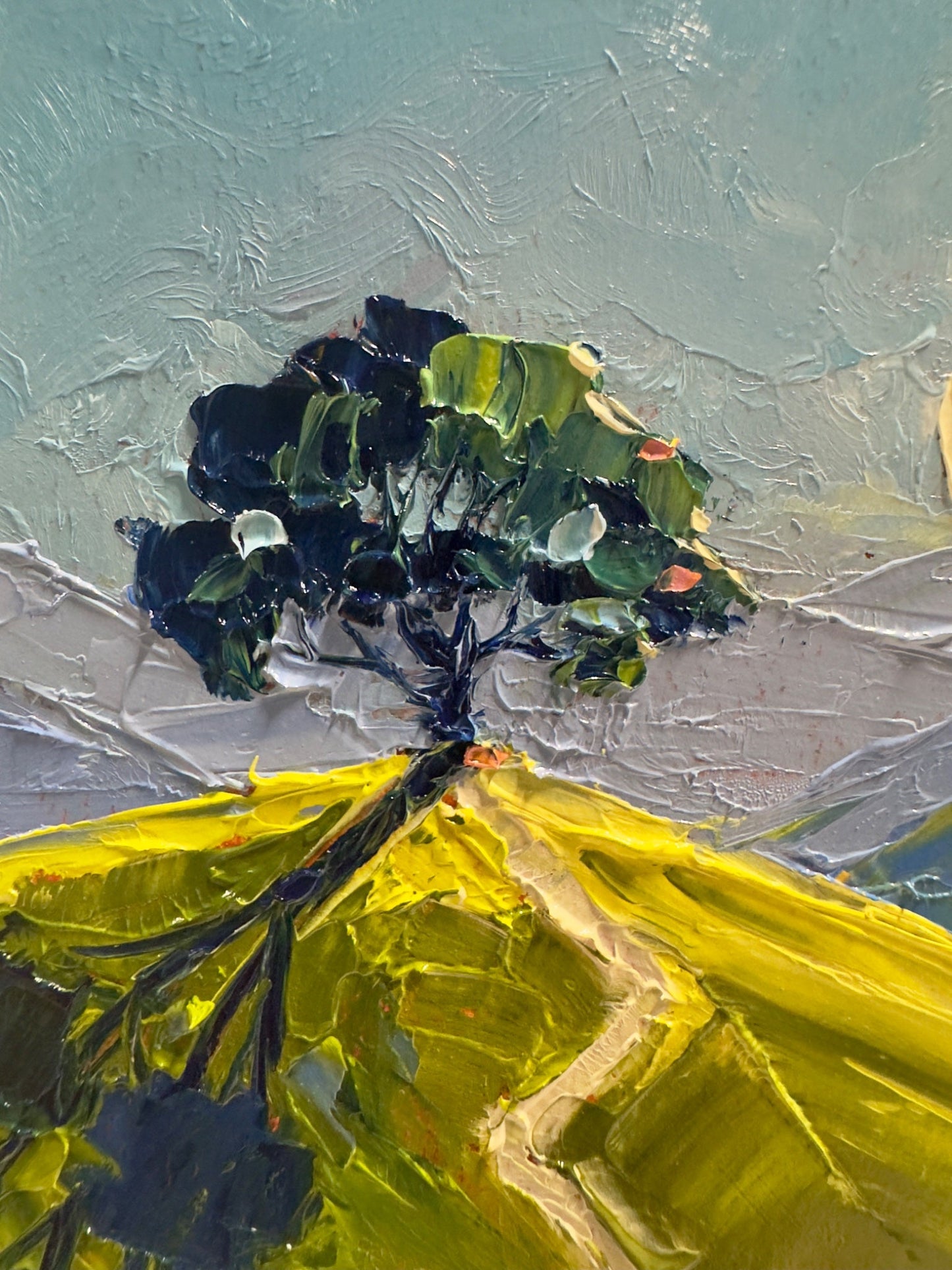 Lone Tree 4 - Gold Coast Gallery Of ArtHilly Coufreur