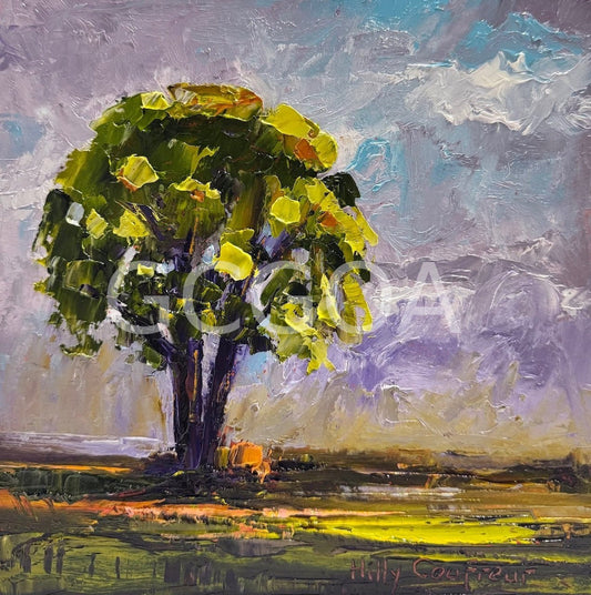 Lone Tree 5 - Gold Coast Gallery Of ArtHilly Coufreur