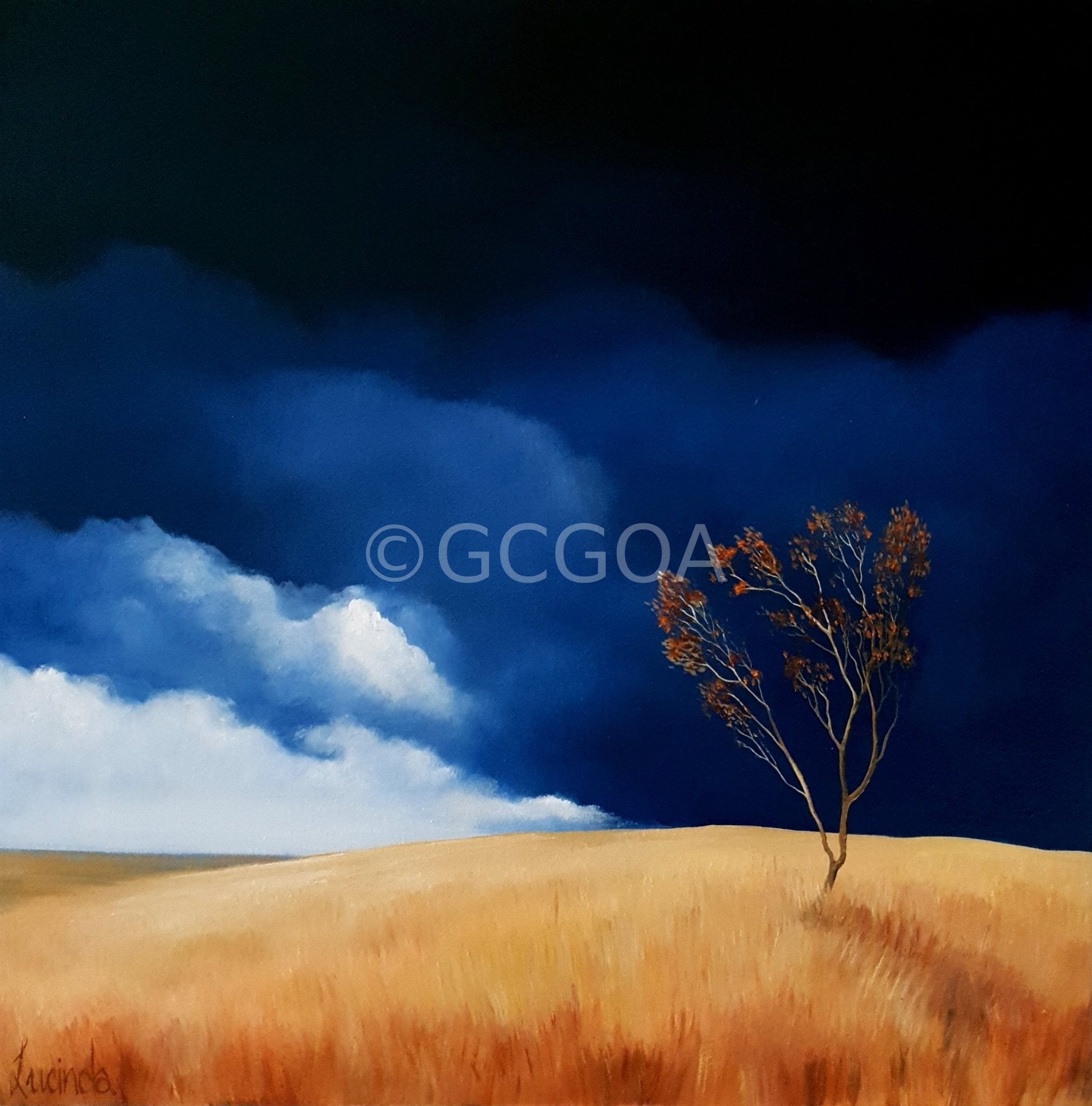 Lonely Country - Original Art - Gold Coast Gallery Of ArtLucinda Leveille