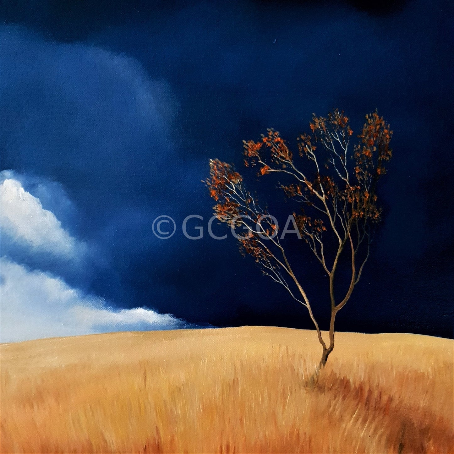 Lonely Country - Original Art - Gold Coast Gallery Of ArtLucinda Leveille