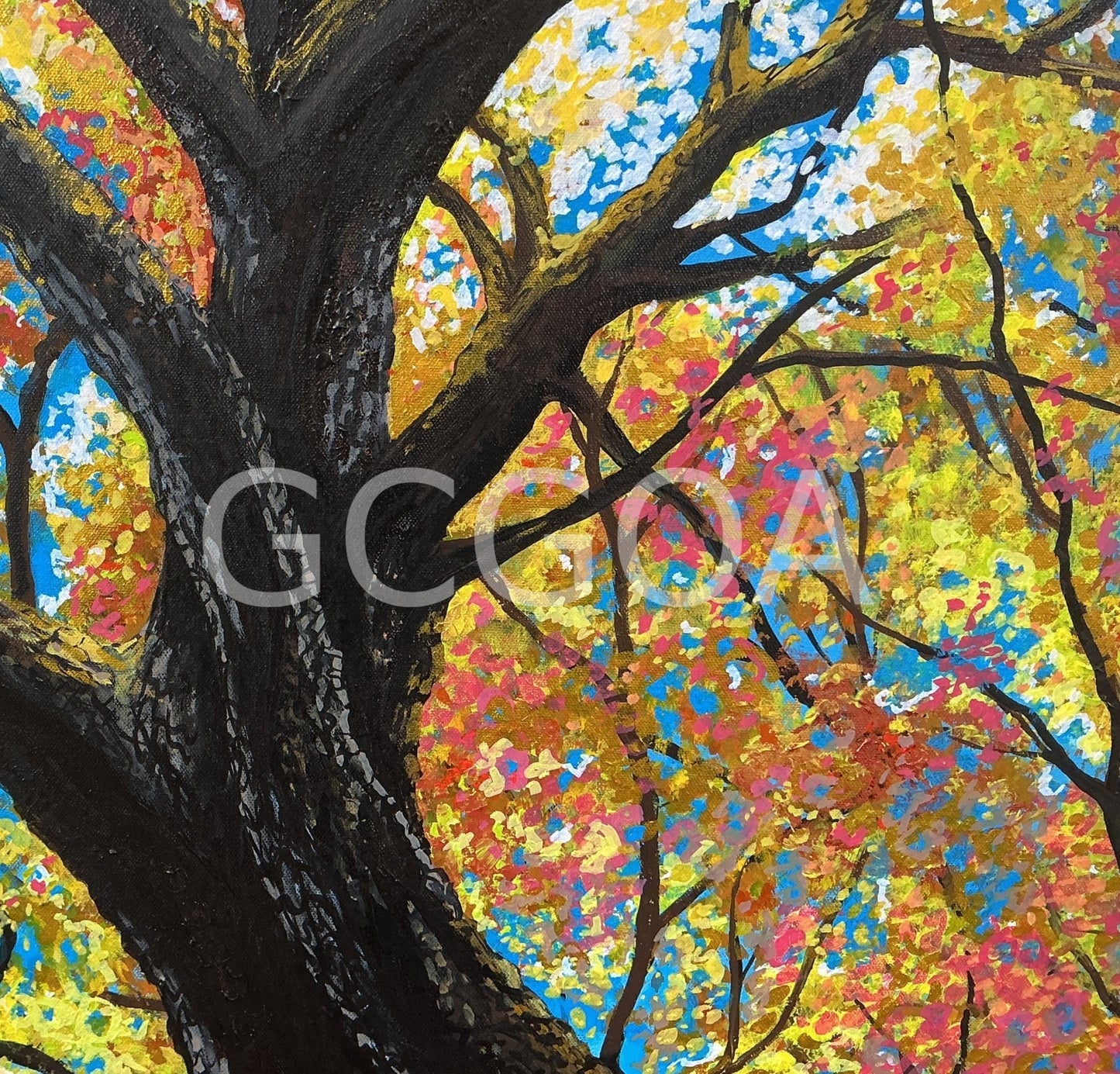 Look Up 2- Autumn in Ballarat - Gold Coast Gallery Of ArtYvonne Wells