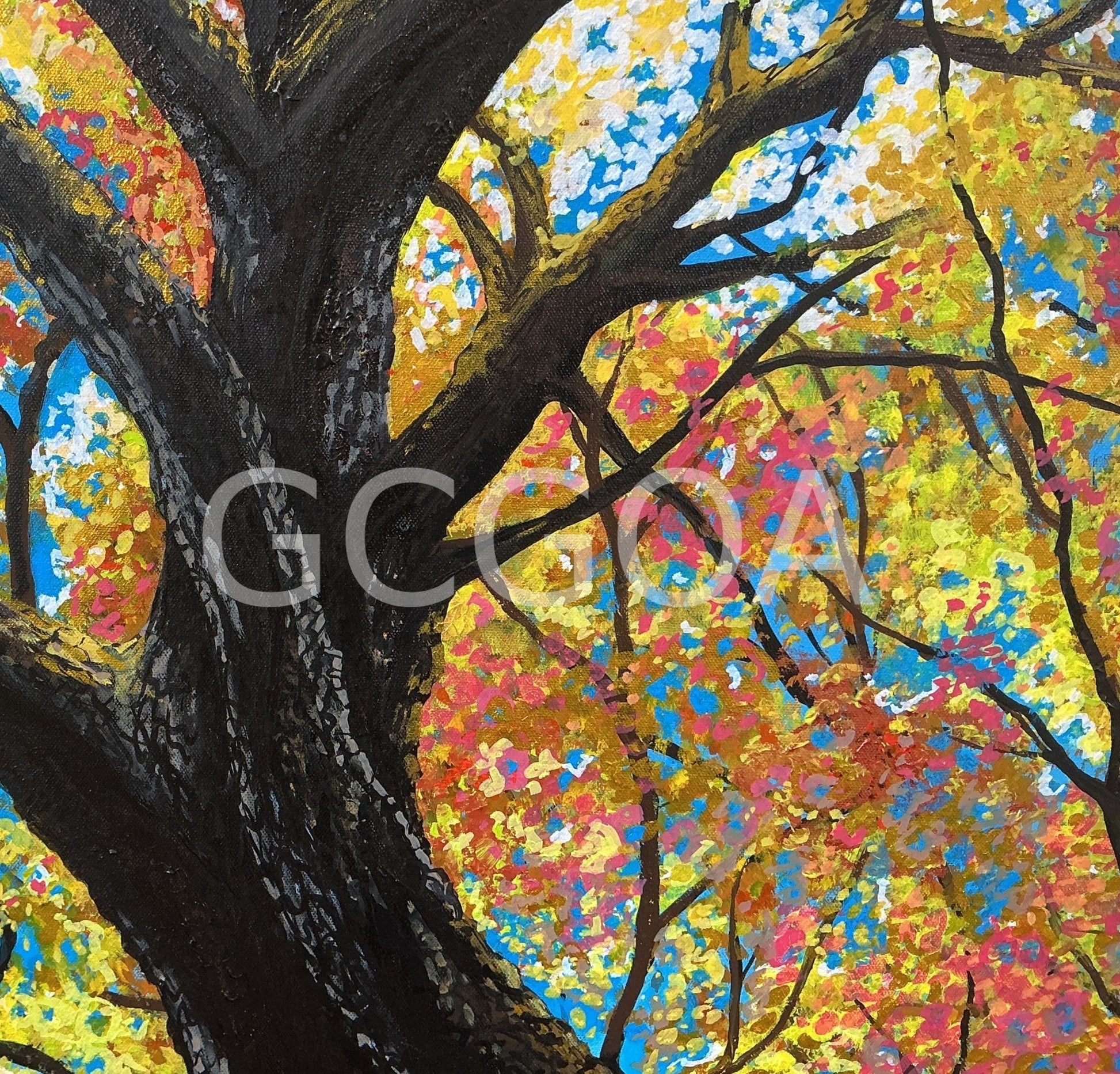 Look Up 2- Autumn in Ballarat - Gold Coast Gallery Of ArtYvonne Wells