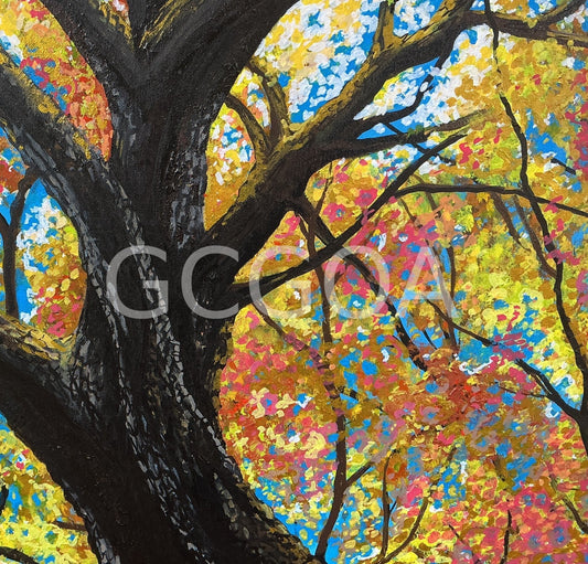 Look Up 2- Autumn in Ballarat - Gold Coast Gallery Of ArtYvonne Wells