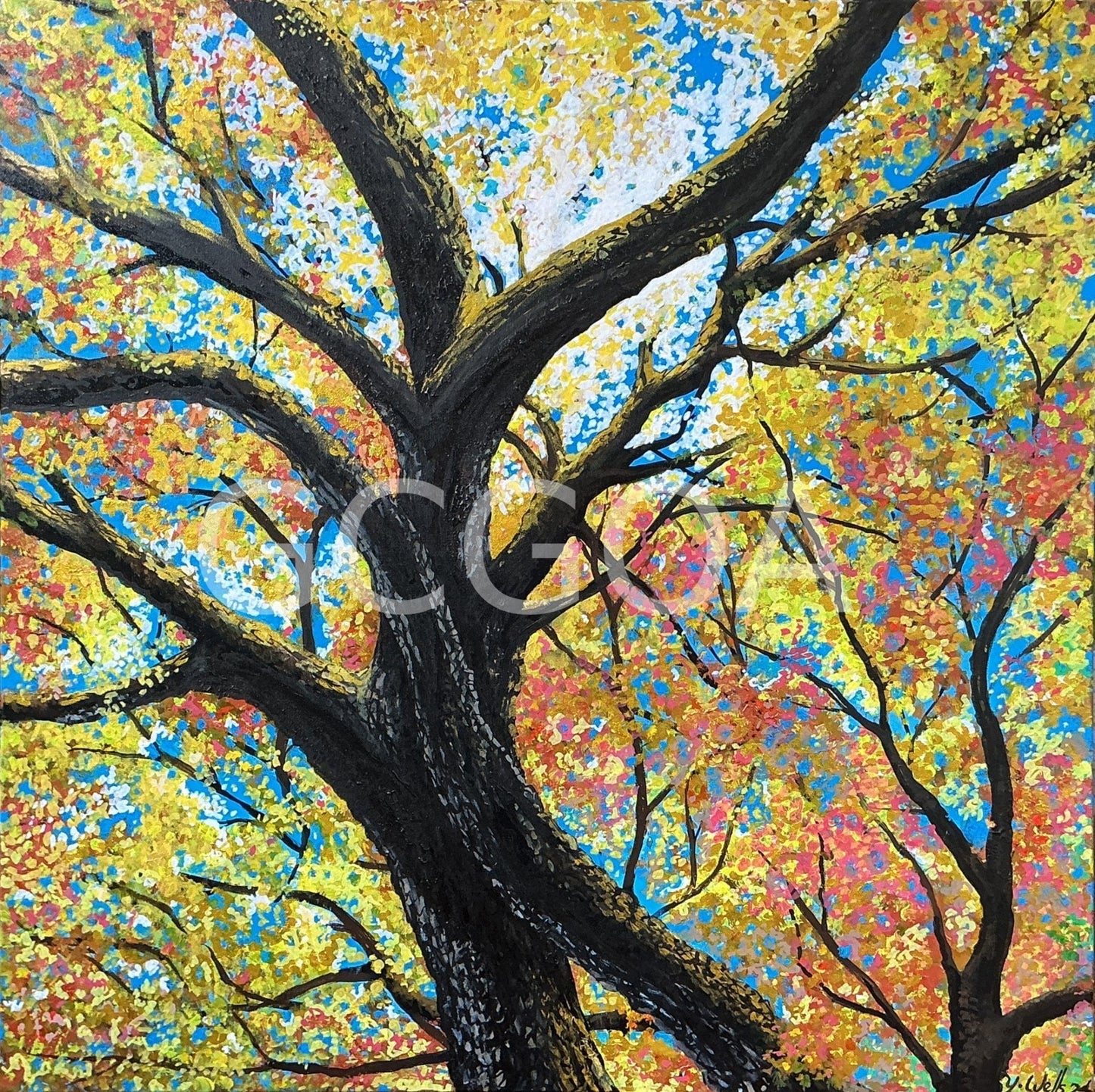 Look Up 2- Autumn in Ballarat - Gold Coast Gallery Of ArtYvonne Wells