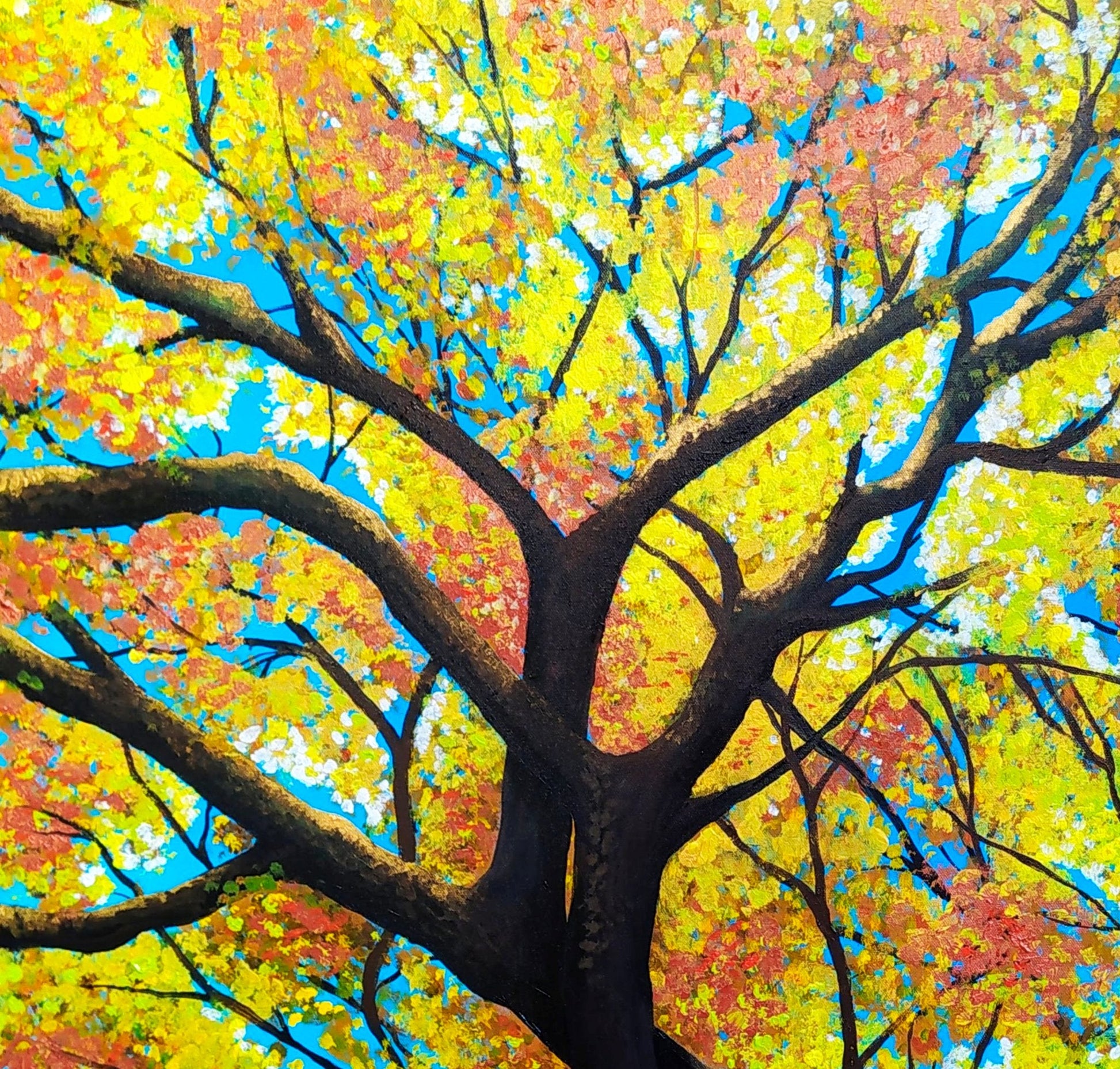 Look up - Autumn in Ballarat - Gold Coast Gallery Of ArtYvonne Wells