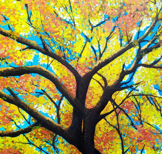 Look up - Autumn in Ballarat - Gold Coast Gallery Of ArtYvonne Wells
