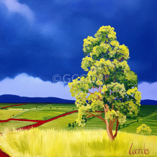 Lush Views - Gold Coast Gallery Of ArtLucinda Leveille