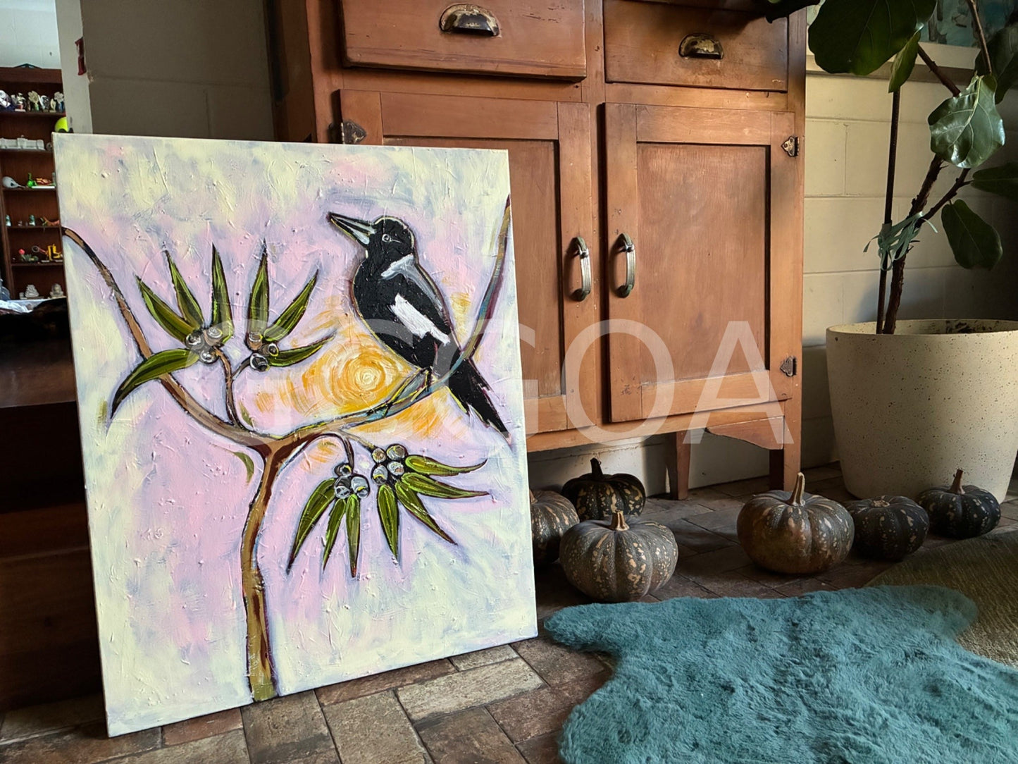 Magpie in the Sun - Gold Coast Gallery Of ArtLucy Car