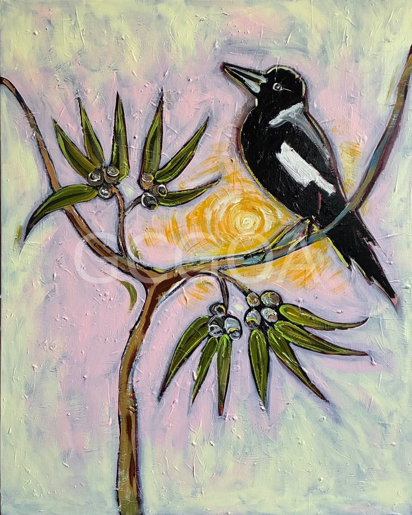 Magpie in the Sun - Gold Coast Gallery Of ArtLucy Car