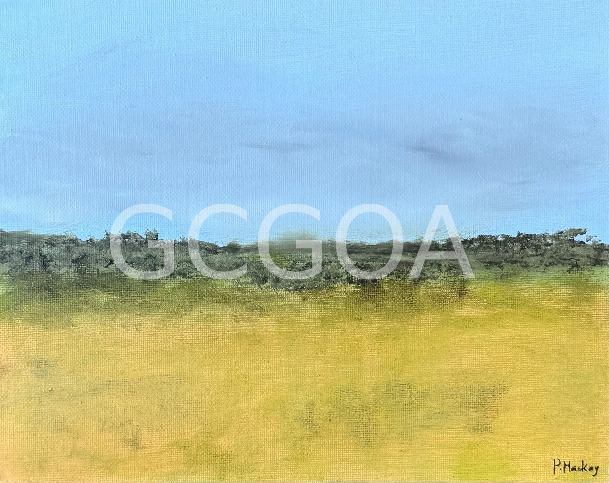 Meadow - Gold Coast Gallery Of ArtPaula Mackay