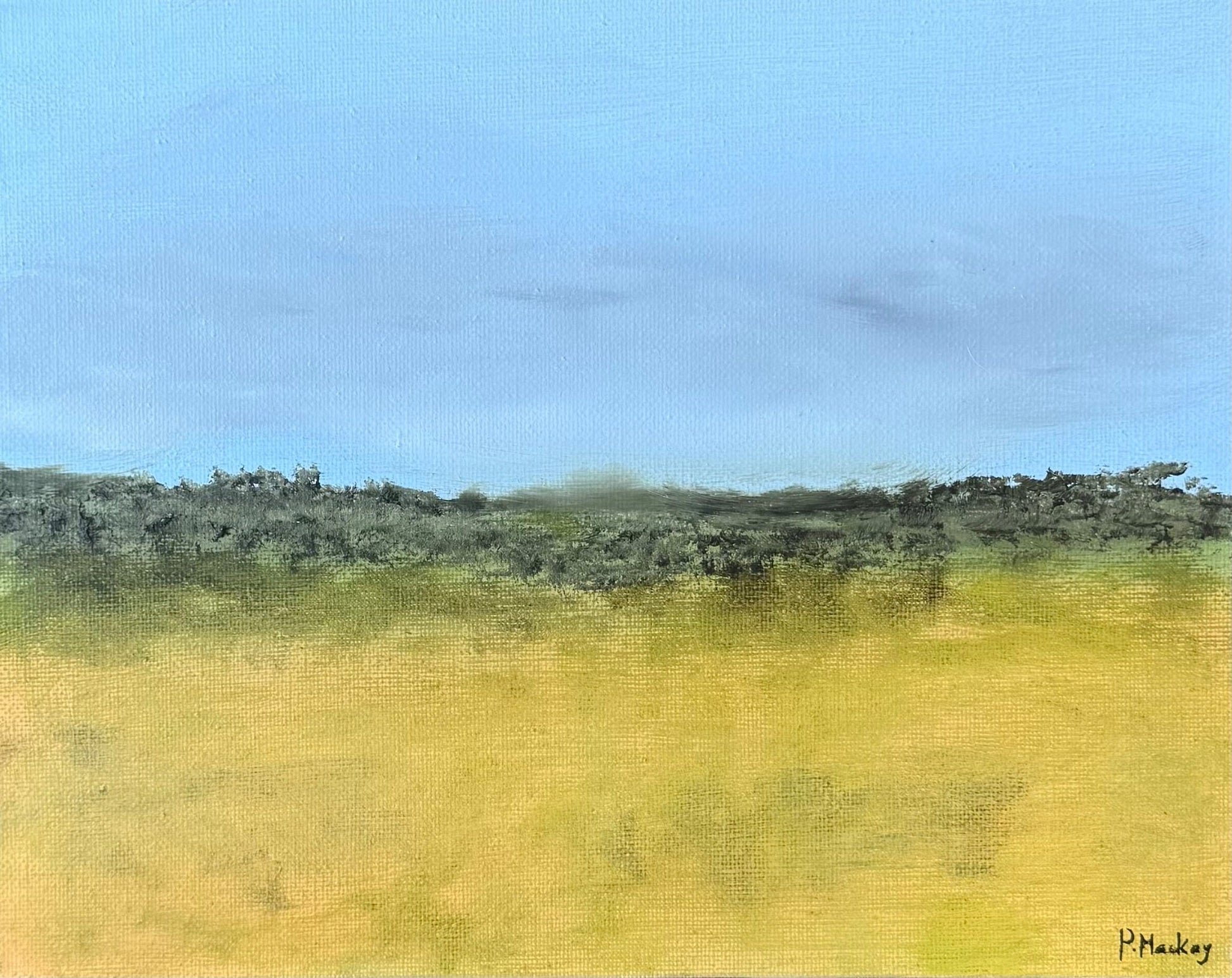 Meadow - Gold Coast Gallery Of ArtPaula Mackay