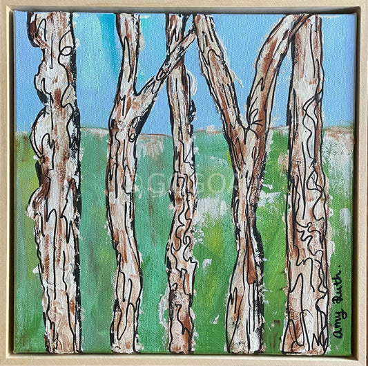 Melaleuca daydream - Gold Coast Gallery Of ArtAmy Ruth