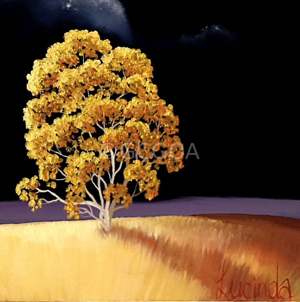 Memory of The Sun - Original Art - Gold Coast Gallery Of ArtLucinda Leveille