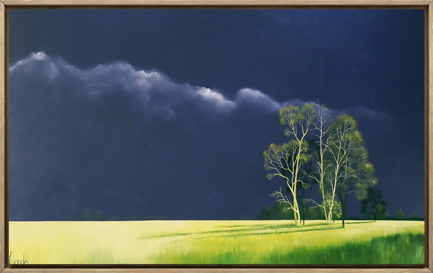 Mesmerised By You - Original Art - Gold Coast Gallery Of ArtLucinda Leveille