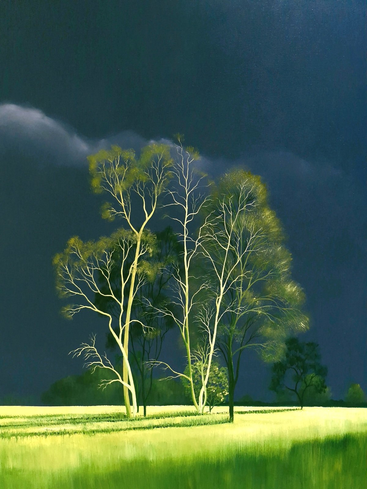 Mesmerised By You - Original Art - Gold Coast Gallery Of ArtLucinda Leveille