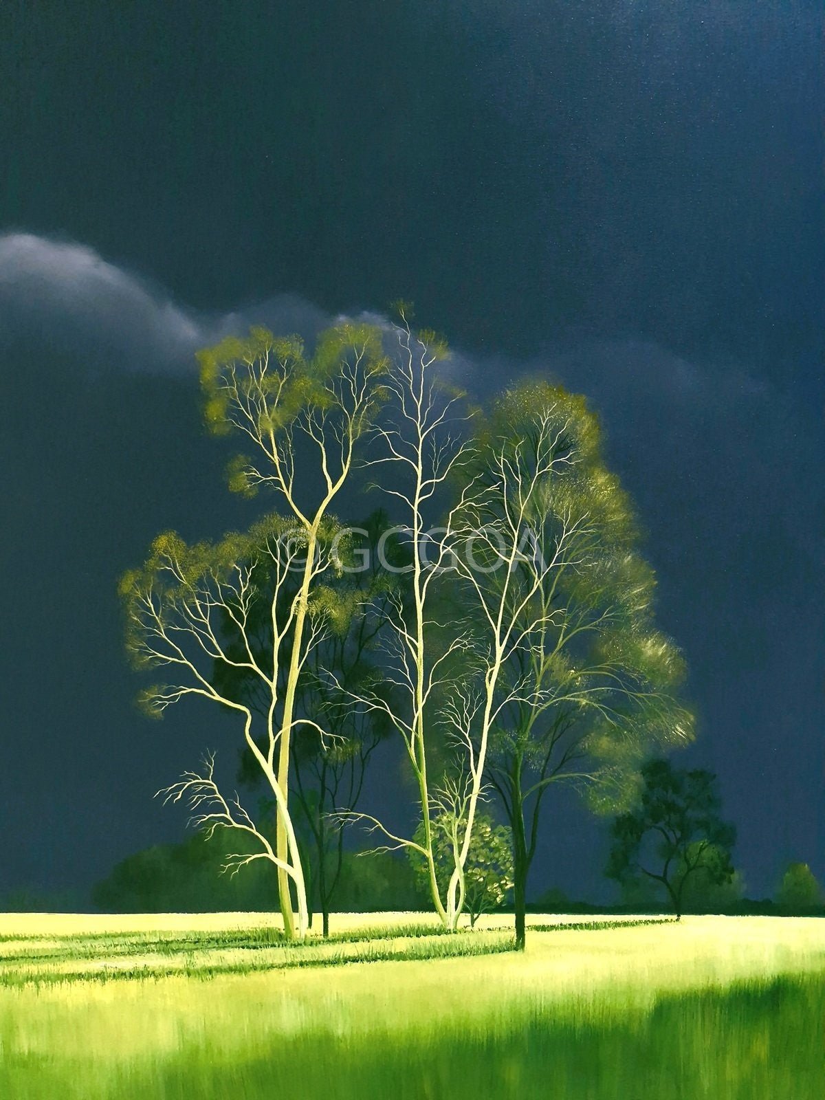 Mesmerised By You - Original Art - Gold Coast Gallery Of ArtLucinda Leveille
