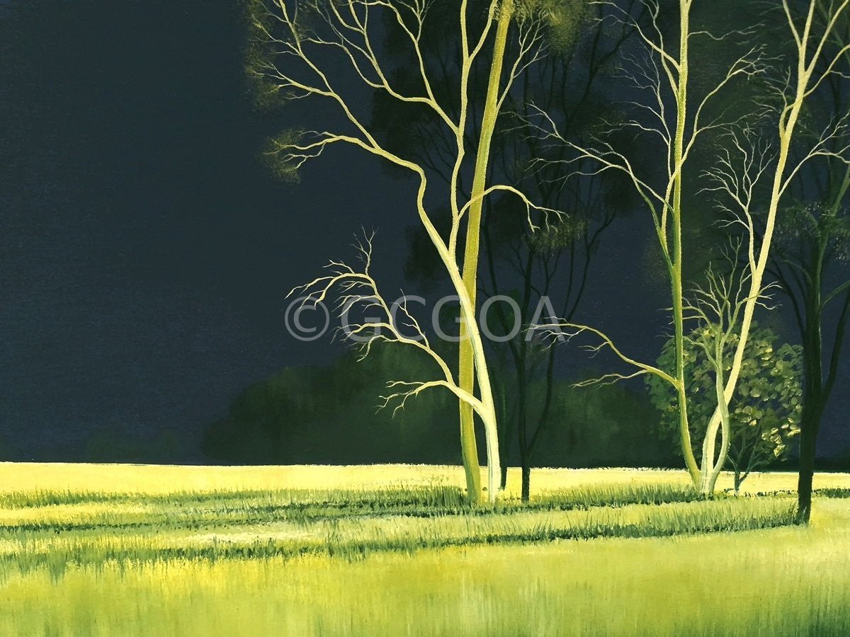 Mesmerised By You - Original Art - Gold Coast Gallery Of ArtLucinda Leveille