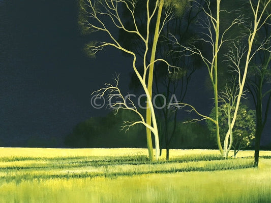 Mesmerised By You - Original Art - Gold Coast Gallery Of ArtLucinda Leveille