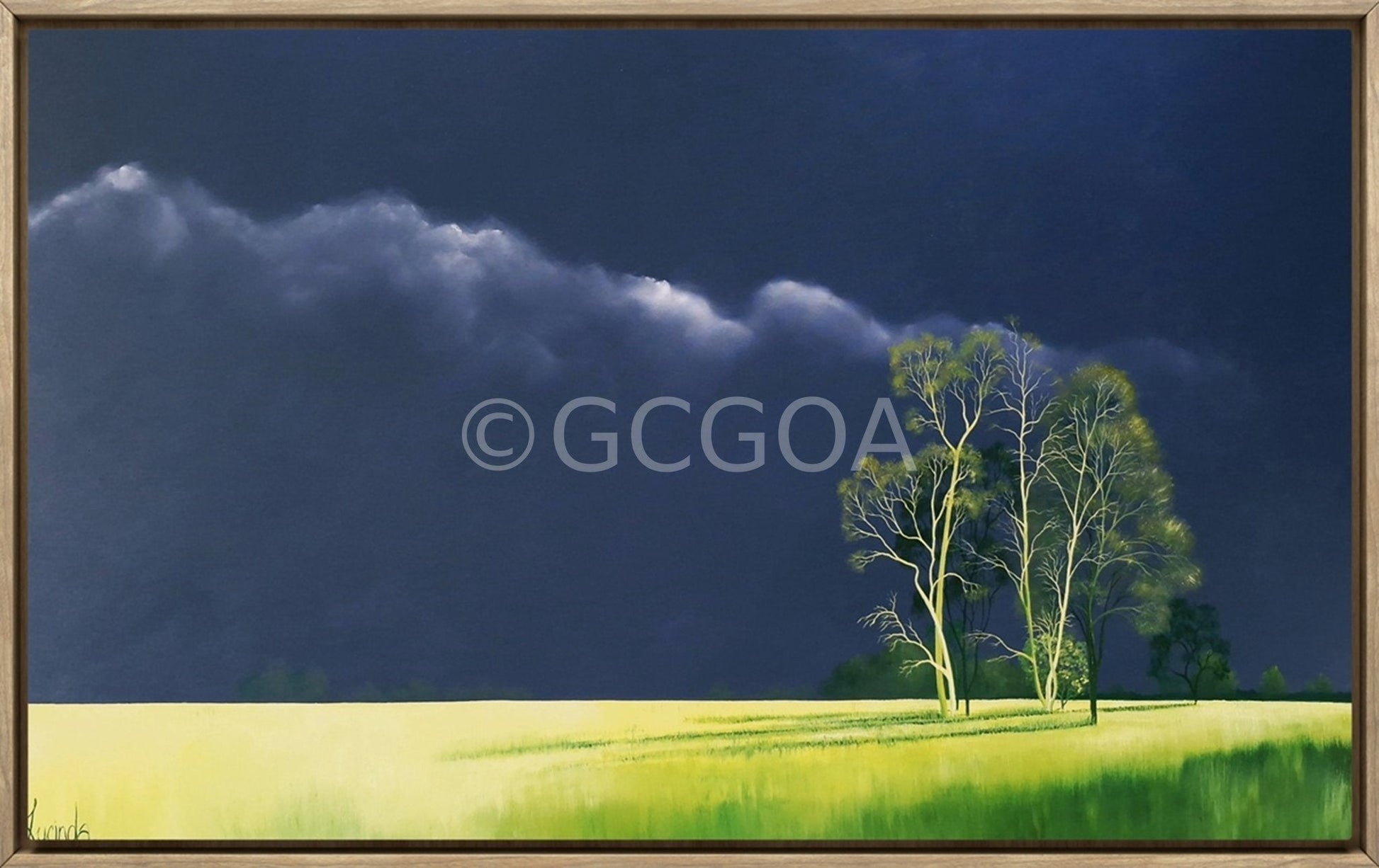 Mesmerised By You - Original Art - Gold Coast Gallery Of ArtLucinda Leveille