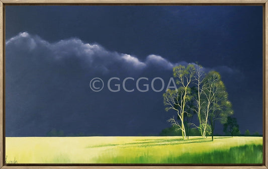 Mesmerised By You - Original Art - Gold Coast Gallery Of ArtLucinda Leveille