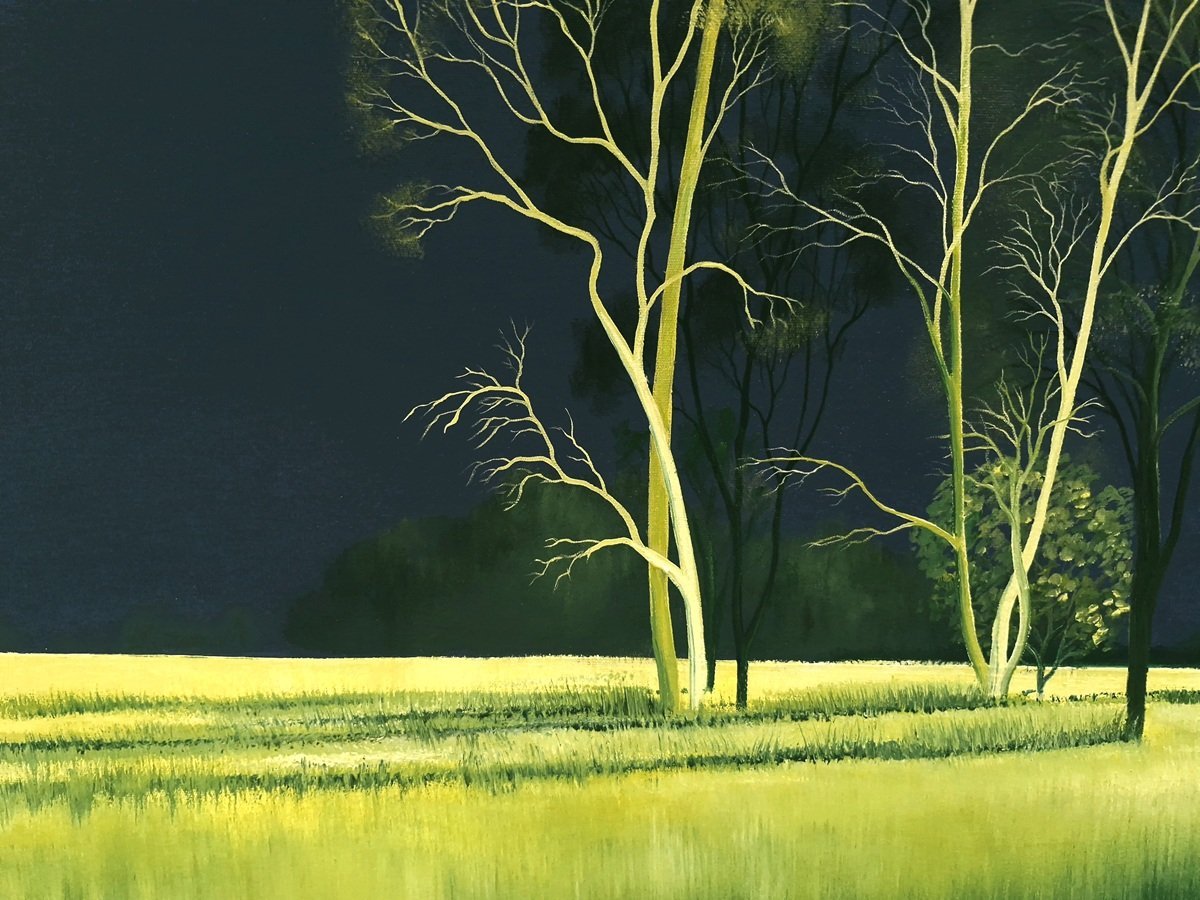 Mesmerised By You - Original Art - Gold Coast Gallery Of ArtLucinda Leveille