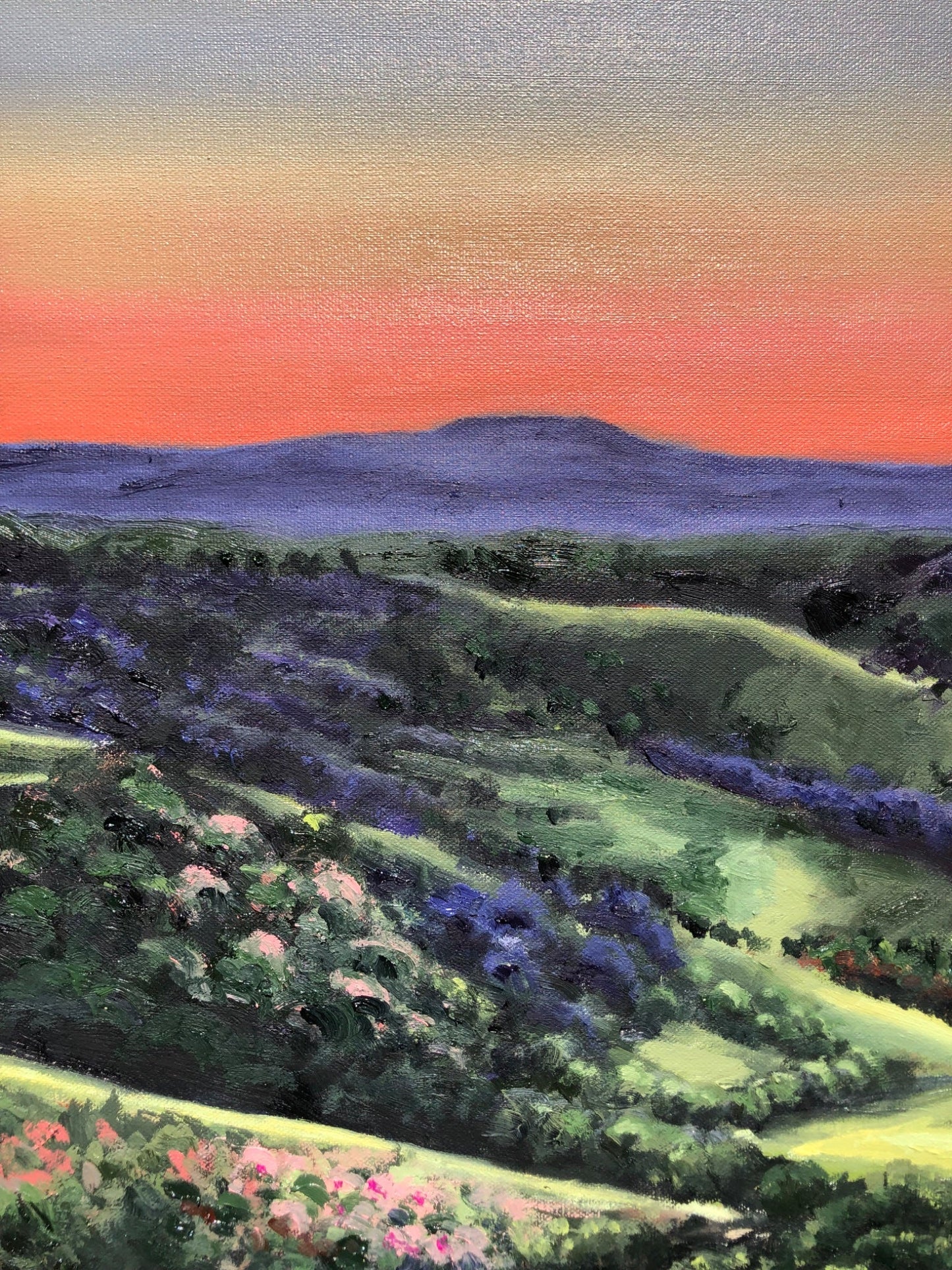Montville Valley - Gold Coast Gallery Of ArtCoco Cashman
