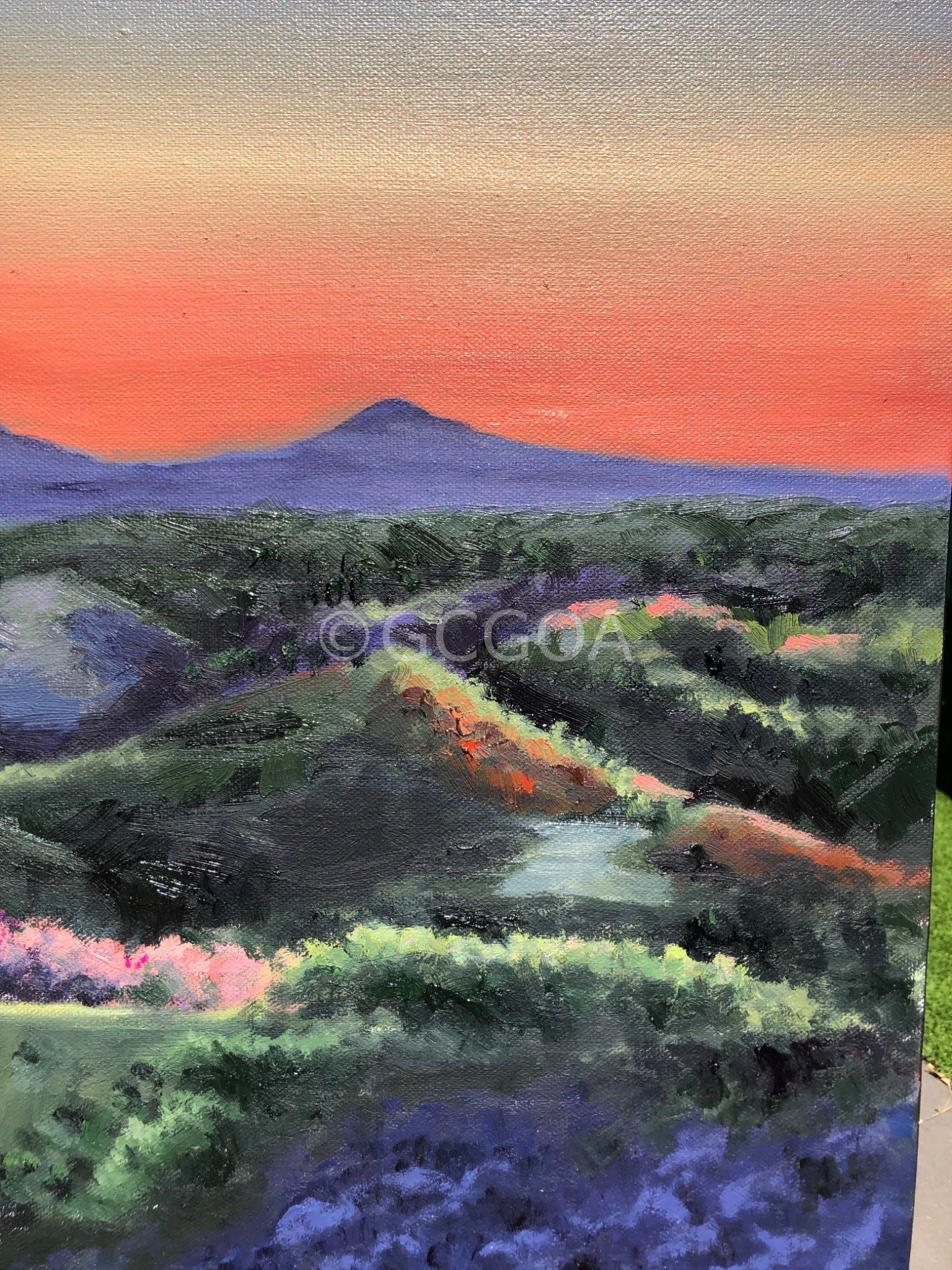 Montville Valley - Gold Coast Gallery Of ArtCoco Cashman