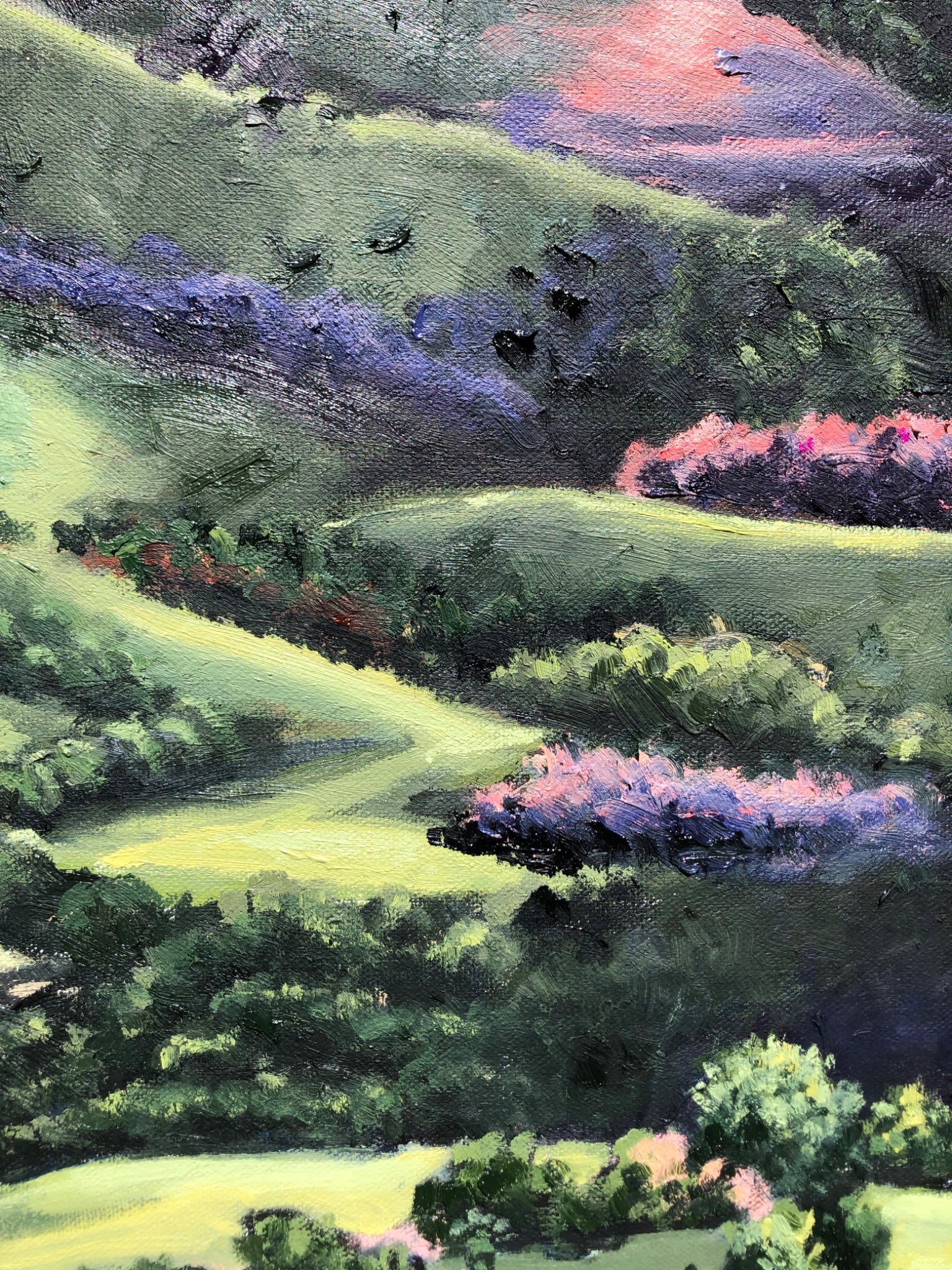 Montville Valley - Gold Coast Gallery Of ArtCoco Cashman