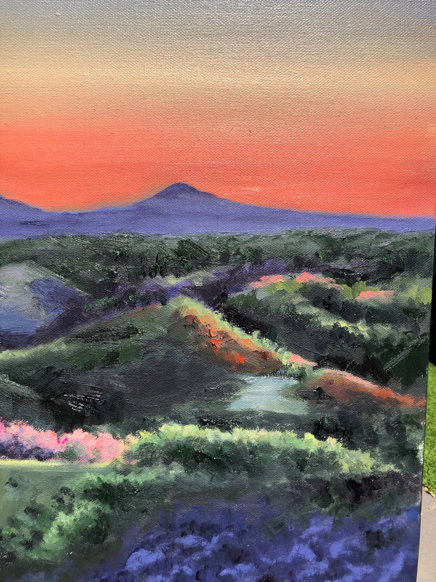 Montville Valley - Gold Coast Gallery Of ArtCoco Cashman