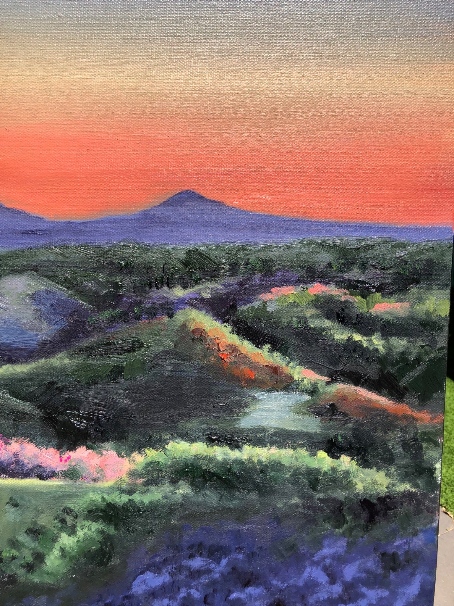 Montville Valley - Gold Coast Gallery Of ArtCoco Cashman