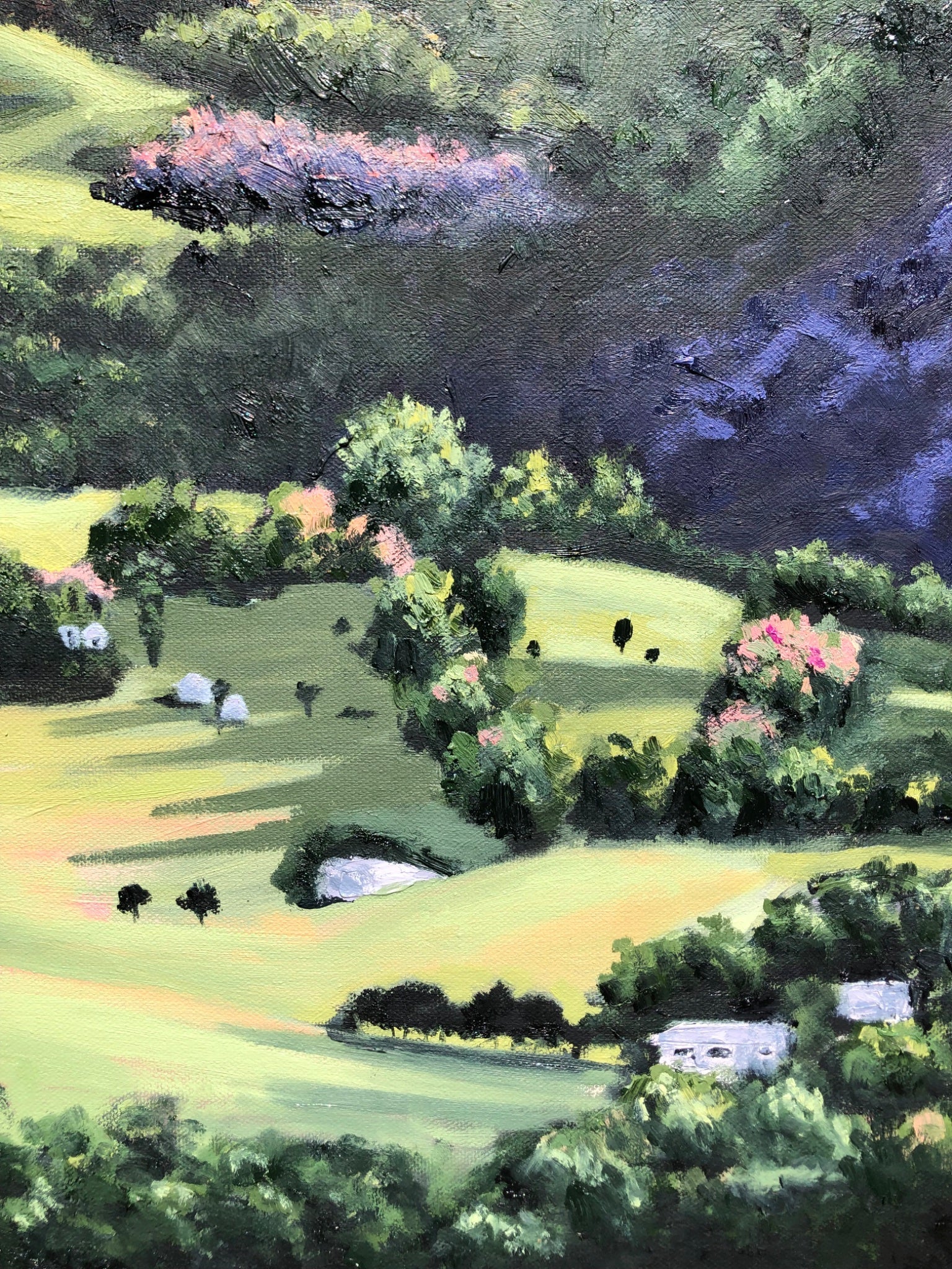 Montville Valley - Gold Coast Gallery Of ArtCoco Cashman