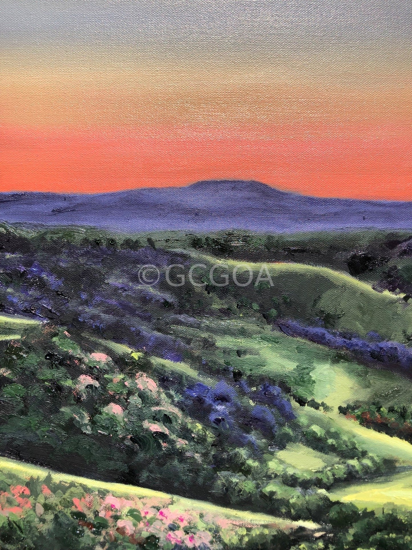Montville Valley - Gold Coast Gallery Of ArtCoco Cashman