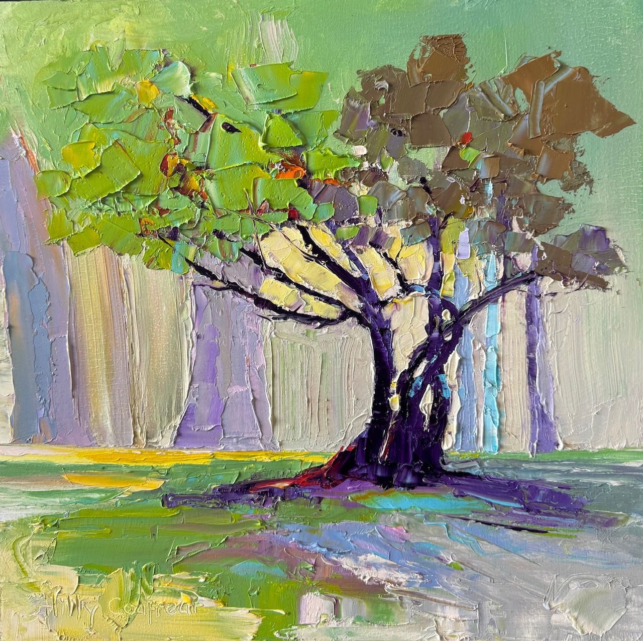 Morning Glow - Gold Coast Gallery Of ArtHilly Coufreur