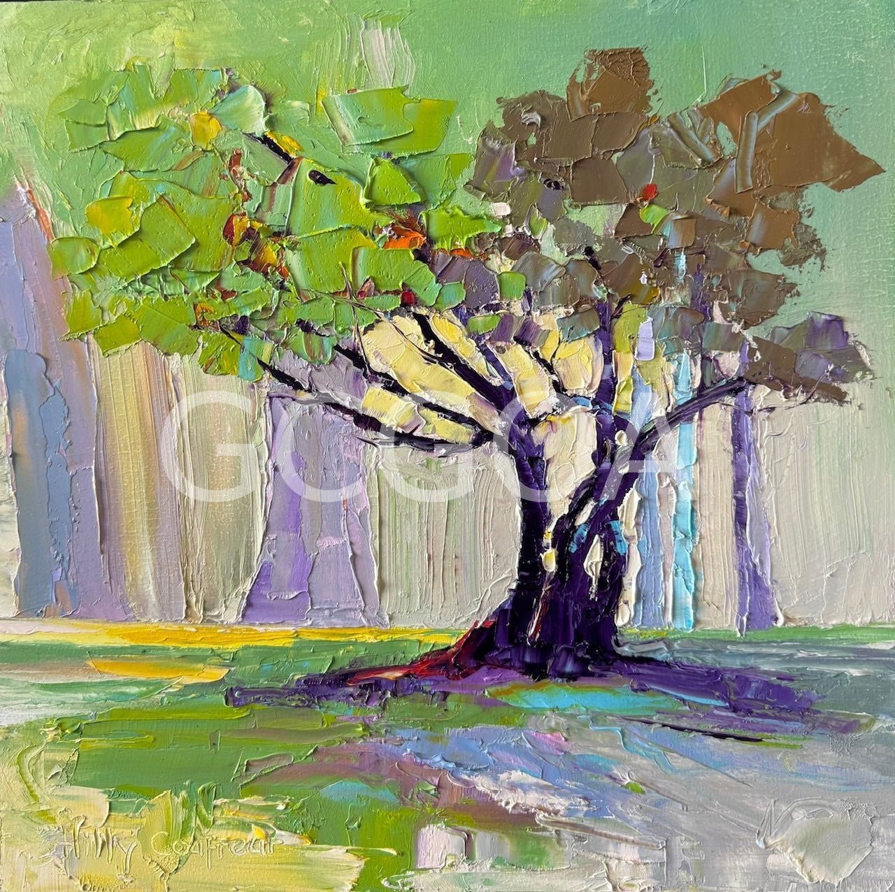 Morning Glow - Gold Coast Gallery Of ArtHilly Coufreur