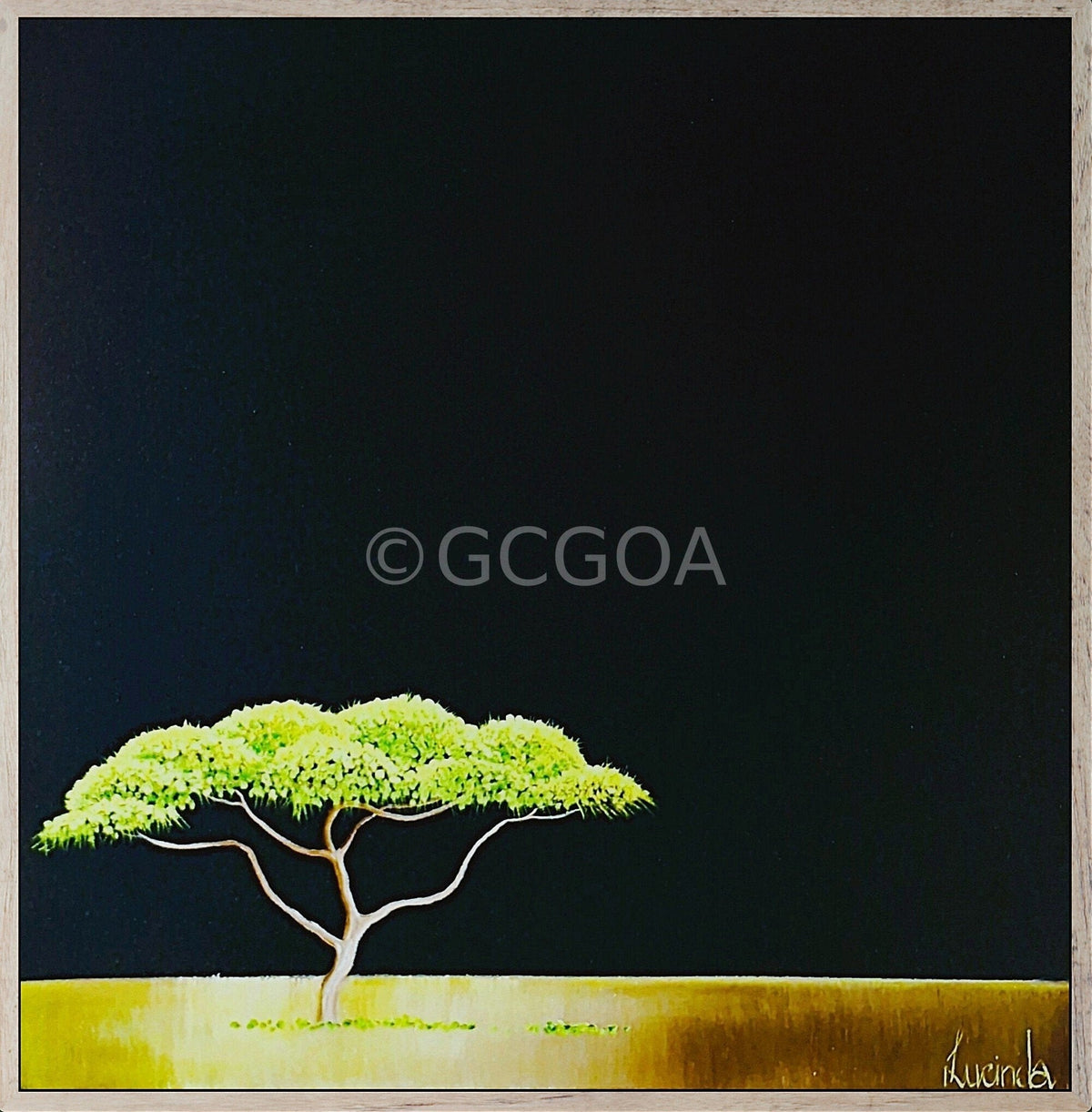 One Bright Tree on the Vast Savanna - Gold Coast Gallery Of ArtLucinda Leveille