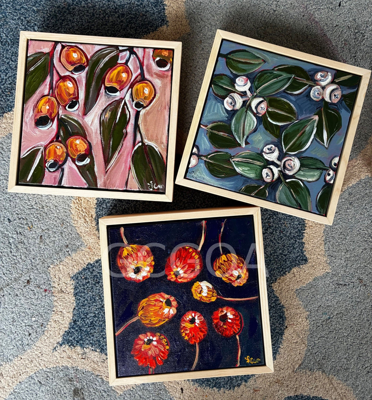 Orange Gumnuts Mini - Gold Coast Gallery Of ArtLucy Car