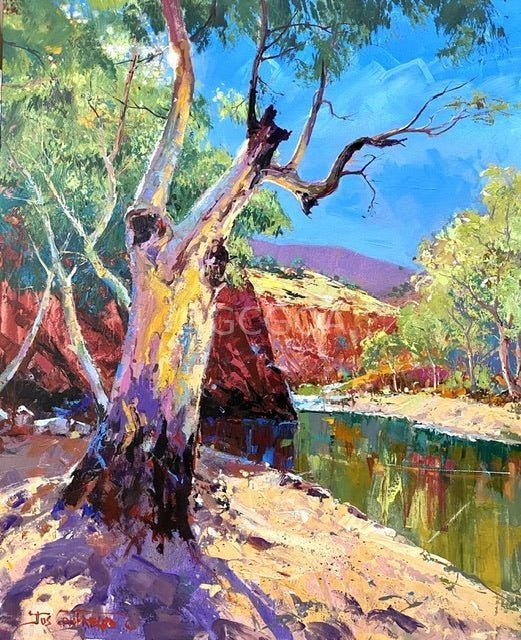 Ormiston Gorge 6 - Original Art - Gold Coast Gallery Of ArtJos Coufreur
