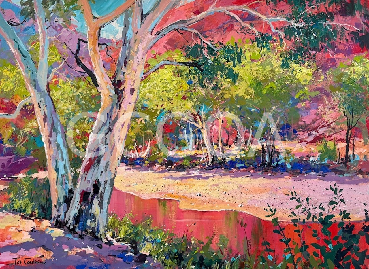 Ormiston Gorge 8 - Gold Coast Gallery Of ArtJos Coufreur