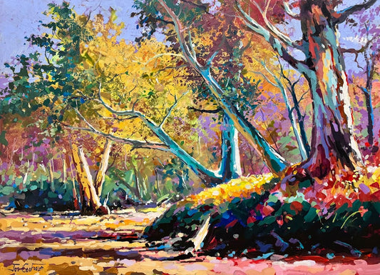 Outback Riverbed 2 - Gold Coast Gallery Of ArtJos Coufreur