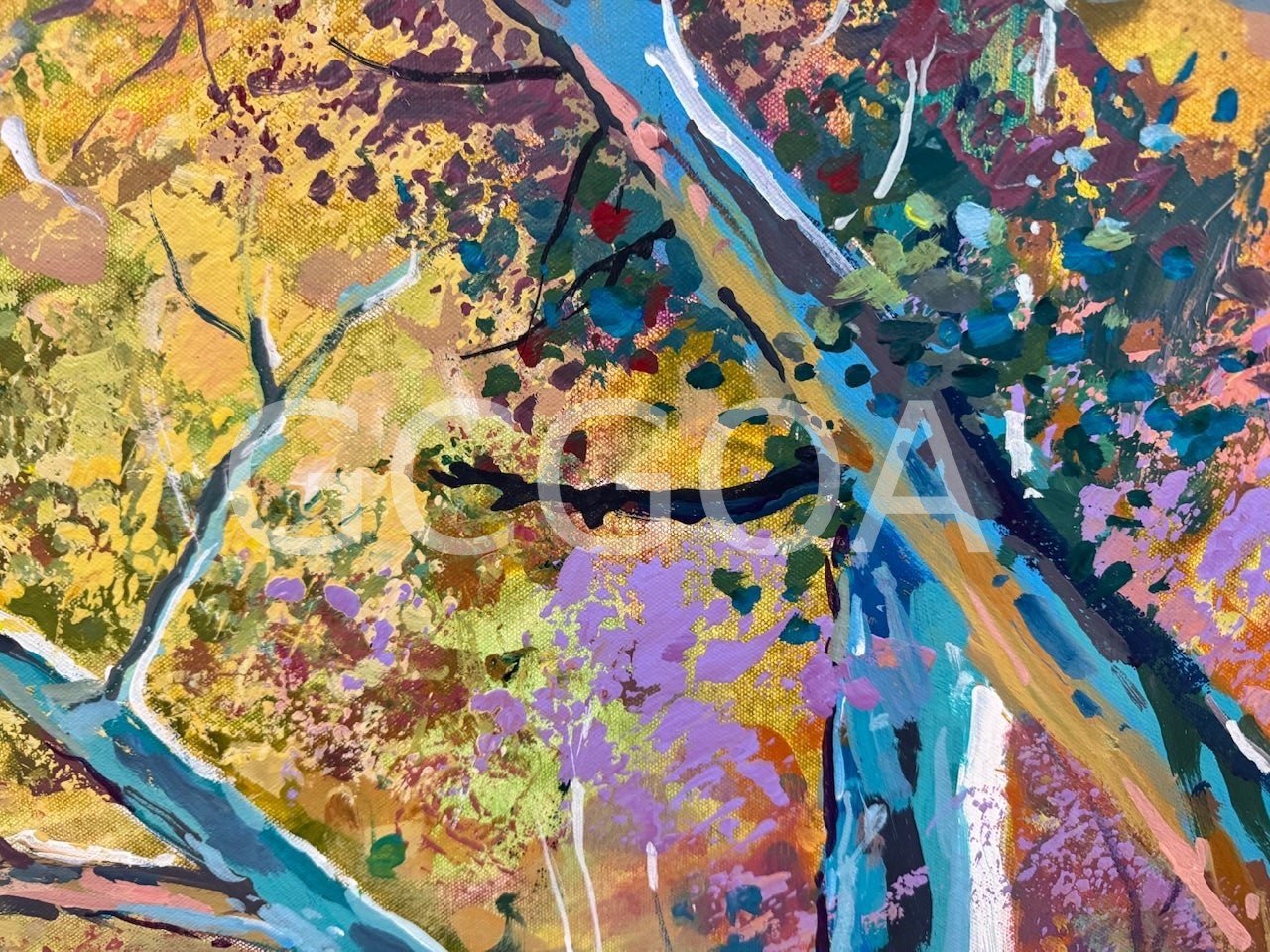 Outback Riverbed 2 - Gold Coast Gallery Of ArtJos Coufreur