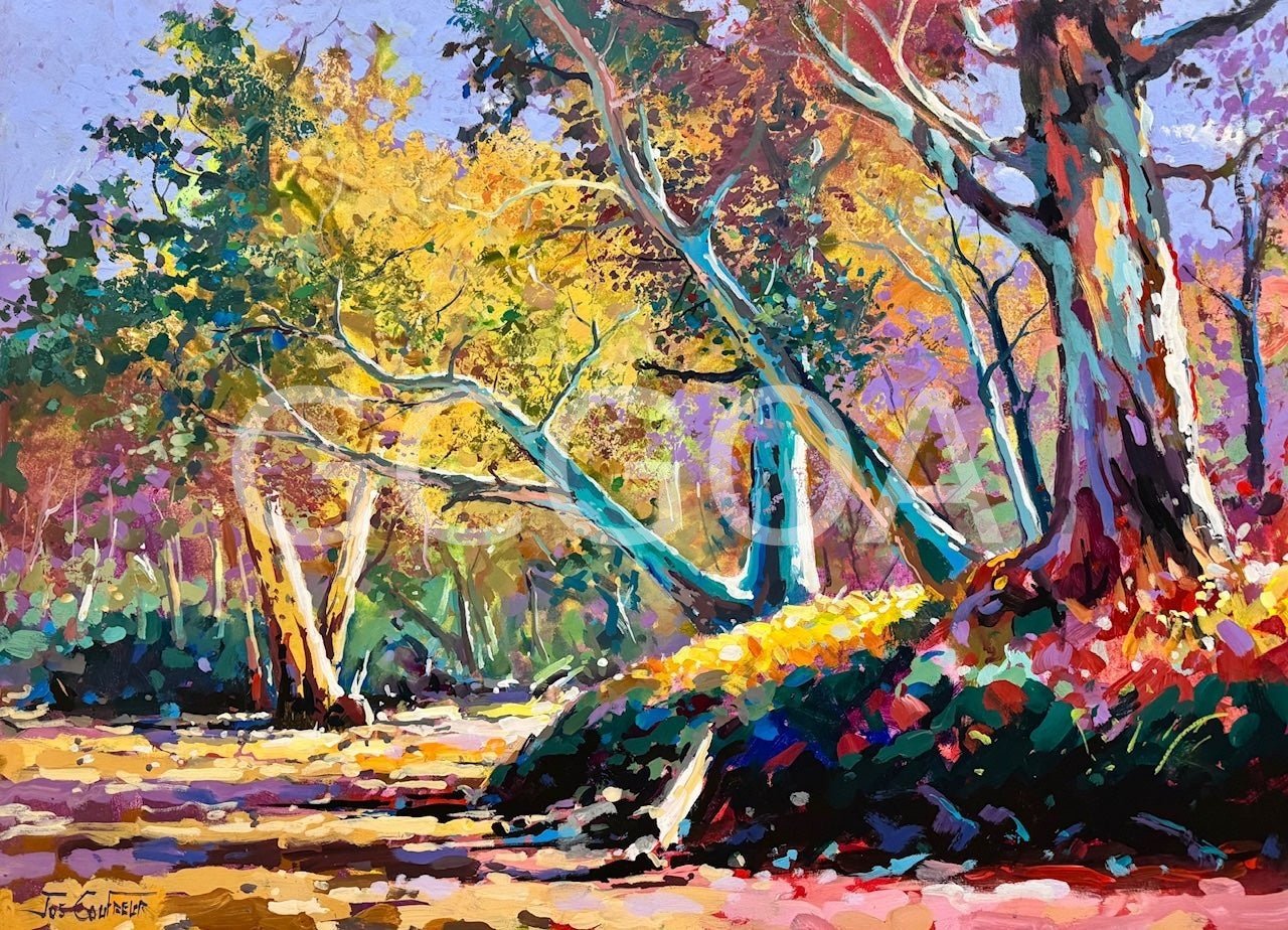 Outback Riverbed 2 - Gold Coast Gallery Of ArtJos Coufreur