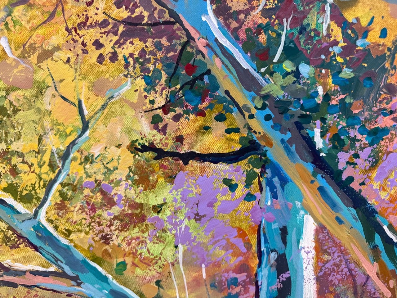 Outback Riverbed 2 - Gold Coast Gallery Of ArtJos Coufreur