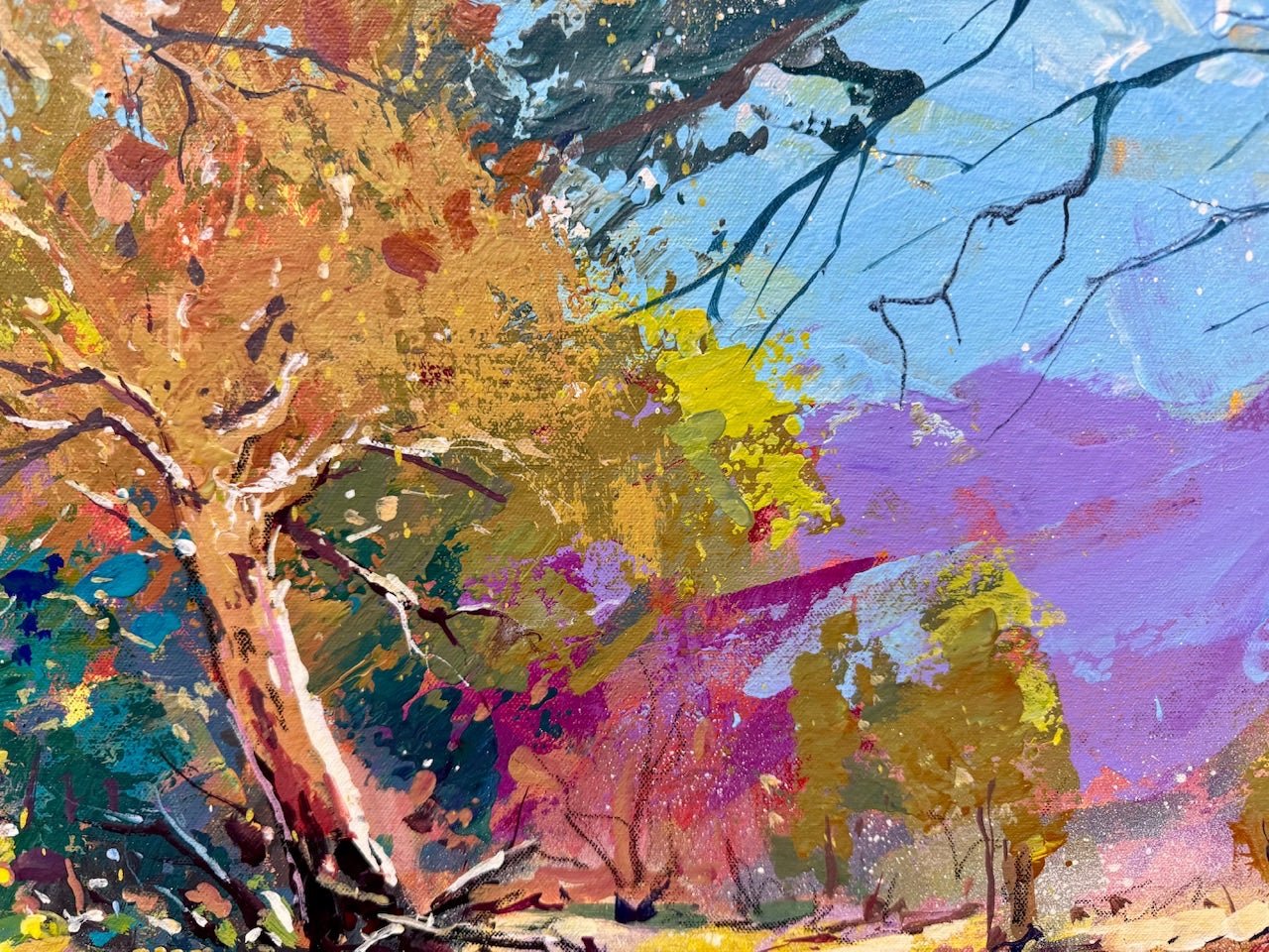 Outback Riverbed - Gold Coast Gallery Of ArtJos Coufreur