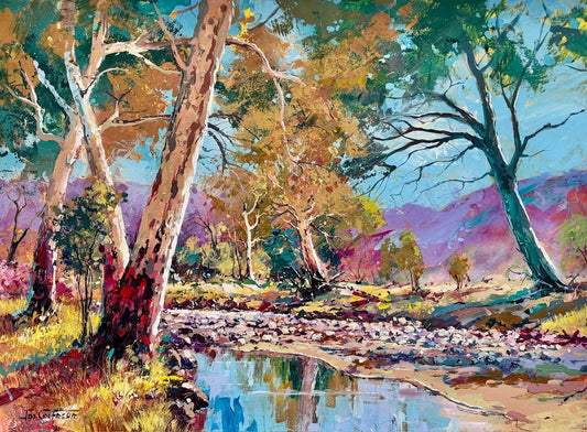 Outback Riverbed - Gold Coast Gallery Of ArtJos Coufreur