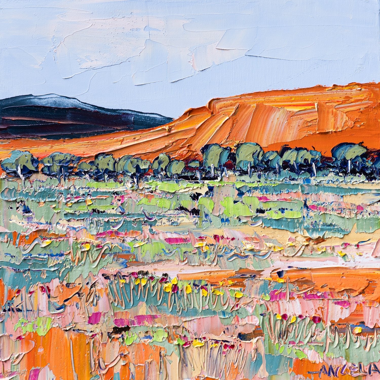 Outback View - Gold Coast Gallery Of ArtAngela Hawkey
