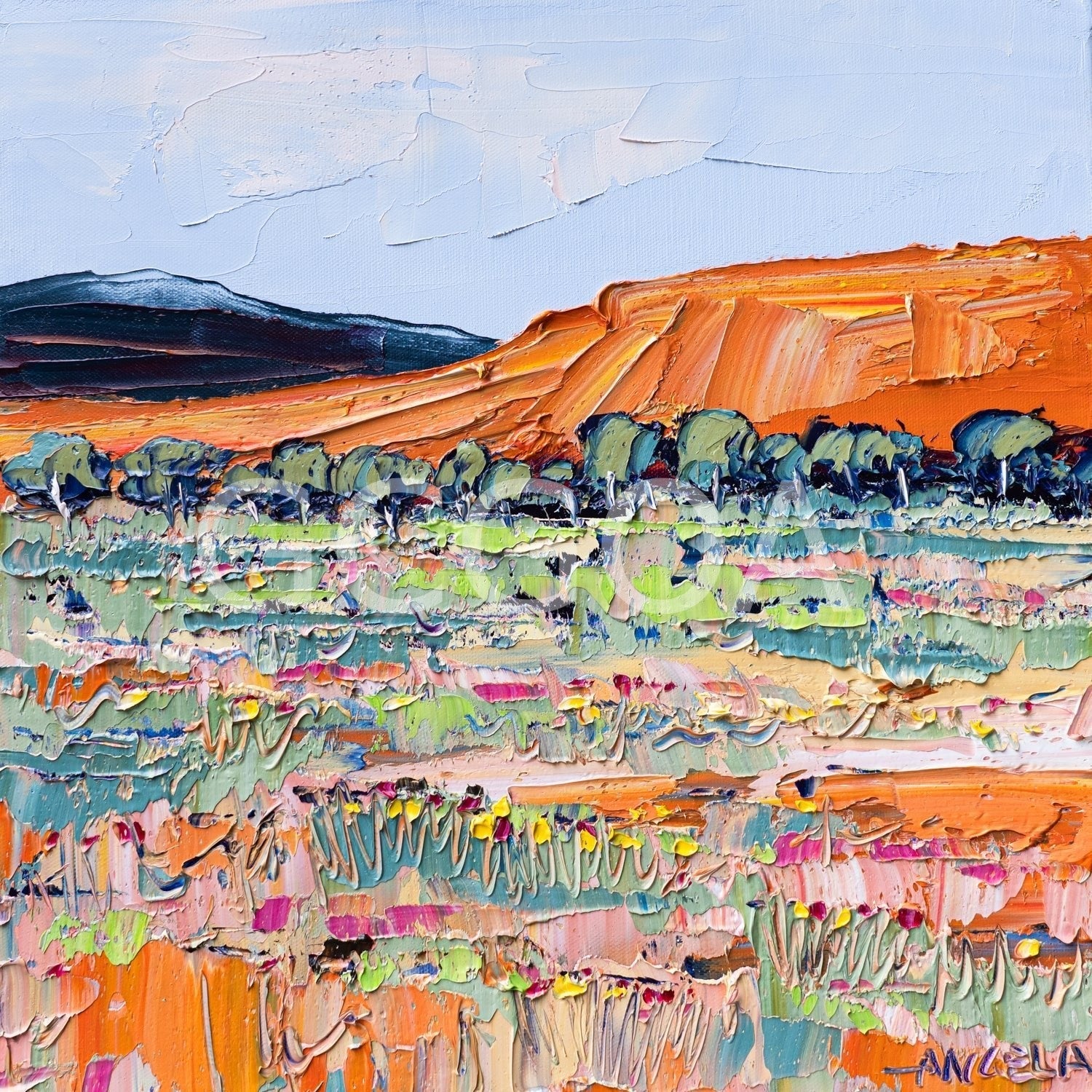 Outback View - Gold Coast Gallery Of ArtAngela Hawkey