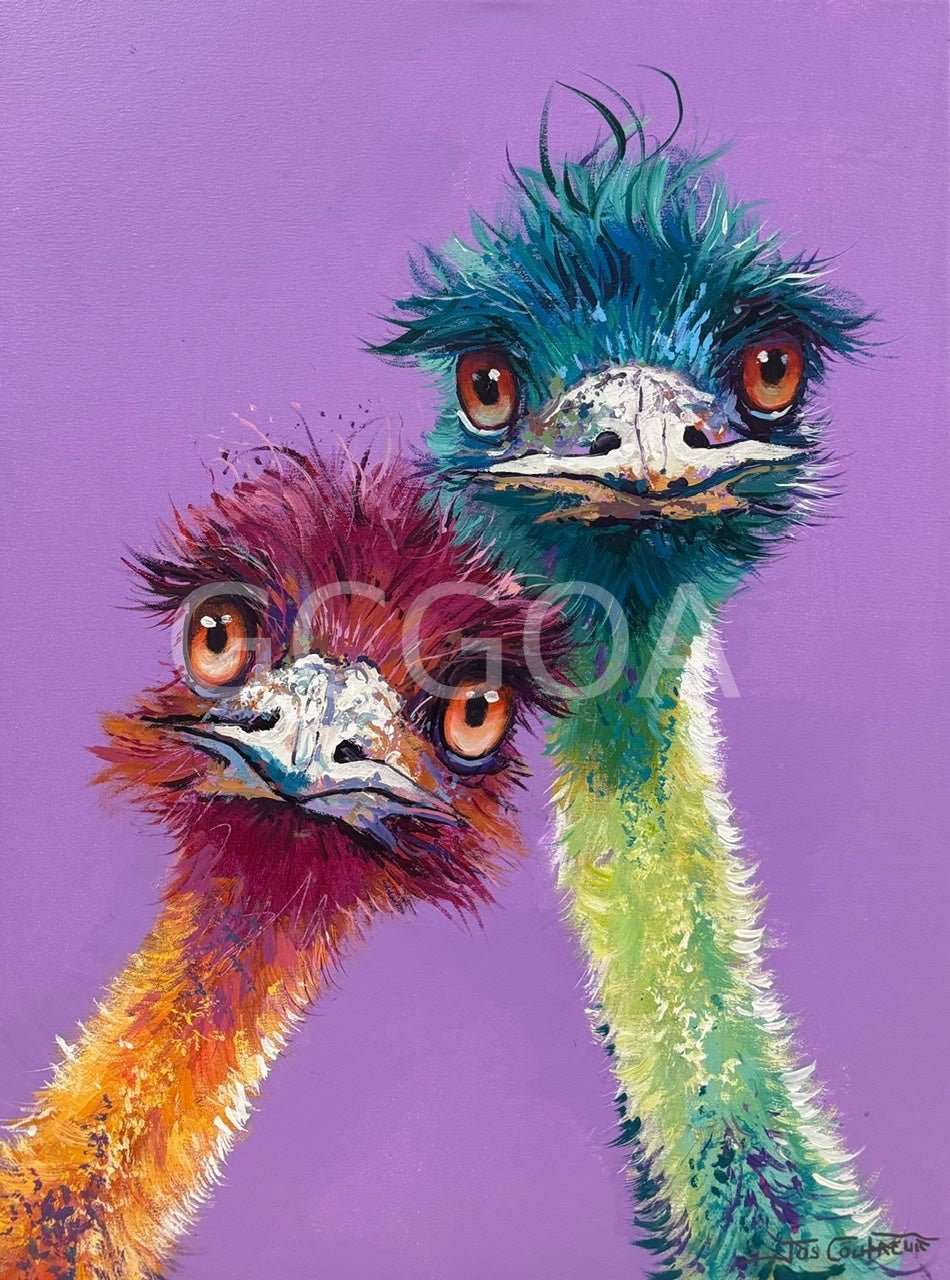 Pair of Emus 5 - Gold Coast Gallery Of ArtJos Coufreur