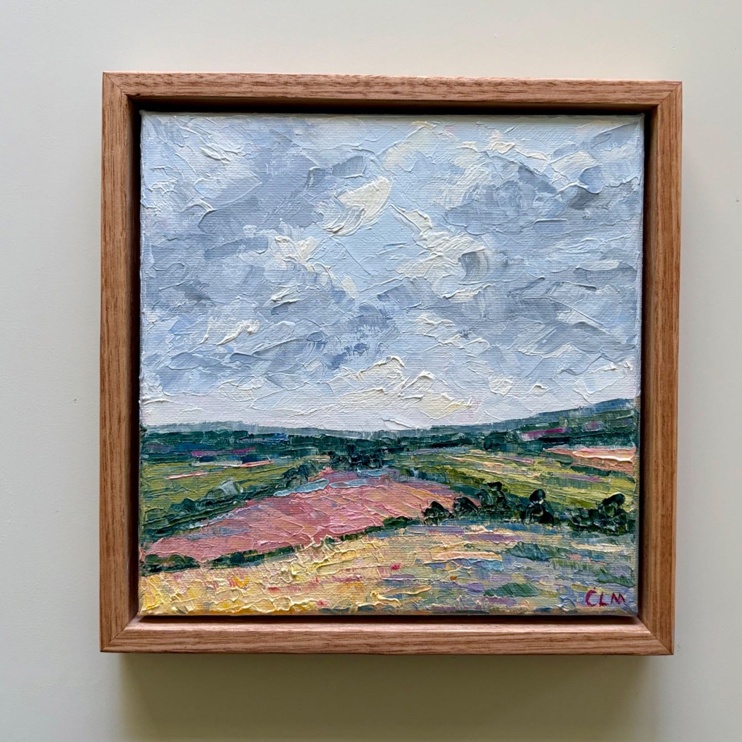 Passing Clouds and Pink Fields - Gold Coast Gallery Of ArtCharlotte Moore