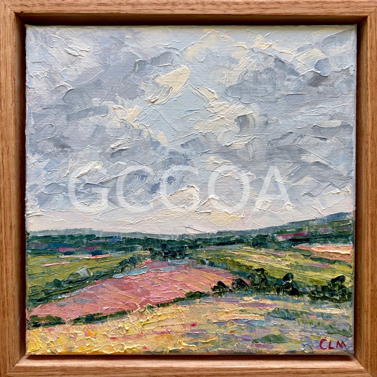 Passing Clouds and Pink Fields - Gold Coast Gallery Of ArtCharlotte Moore