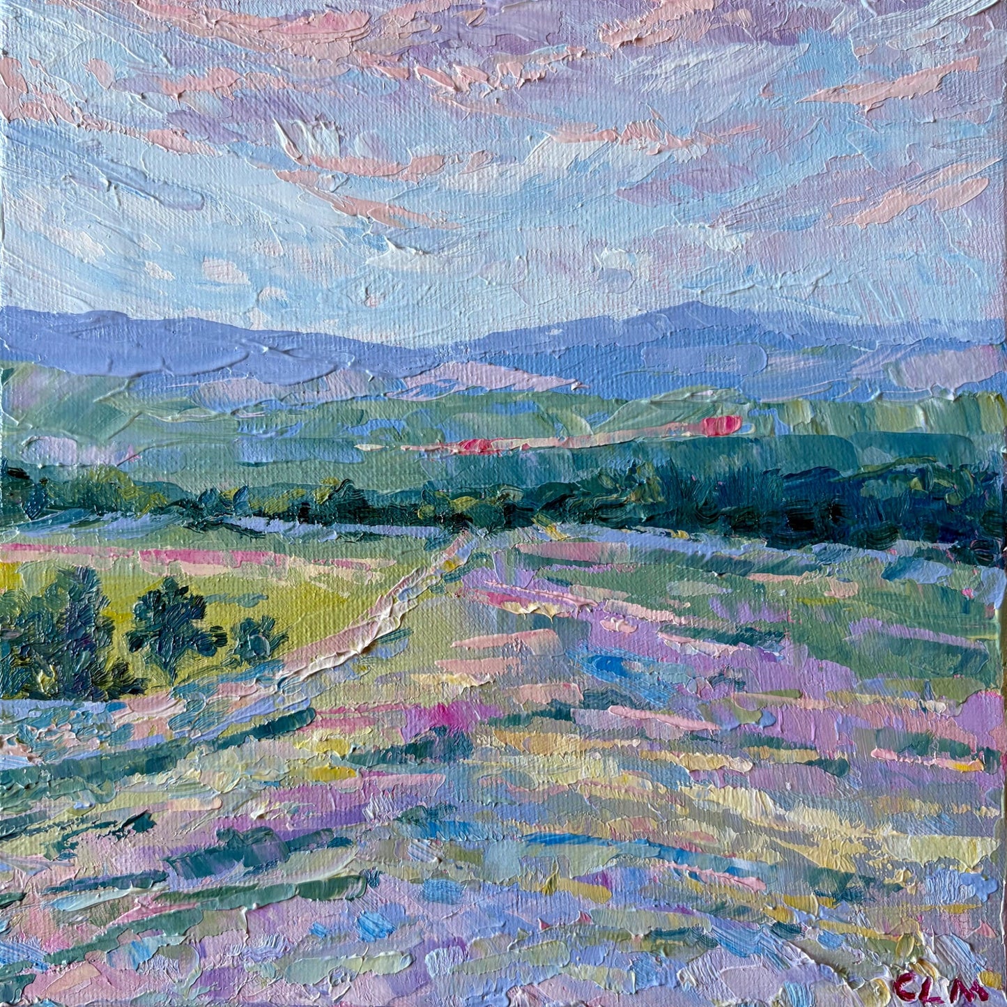 Pastel Fields - Gold Coast Gallery Of ArtCharlotte Moore